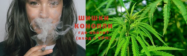 сатива Алексин