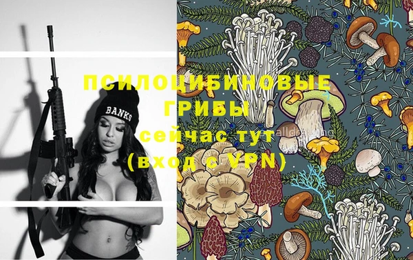 Альфа ПВП Алексеевка
