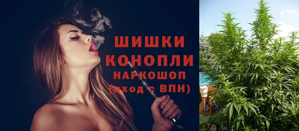 сатива Алексин